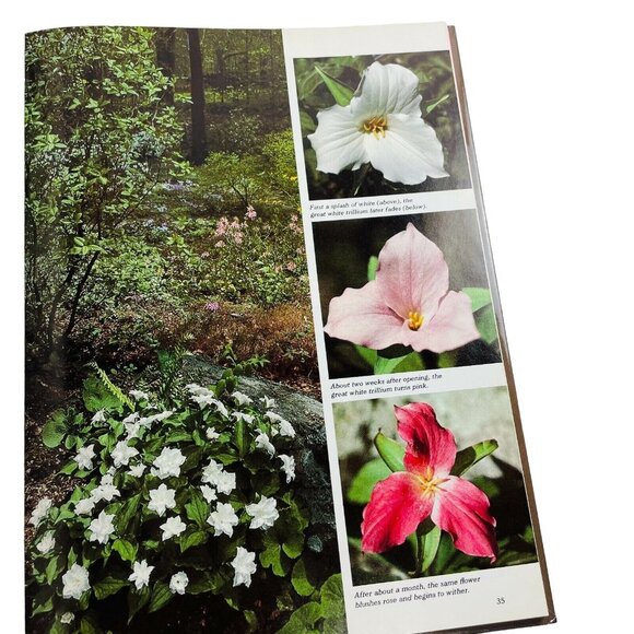 Wildflower Gardening Time Life Encyclopedia Gardening 1977 How to Grow Flowers u - Picture 5 of 10